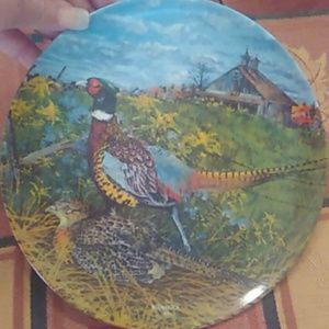 Collectors plate